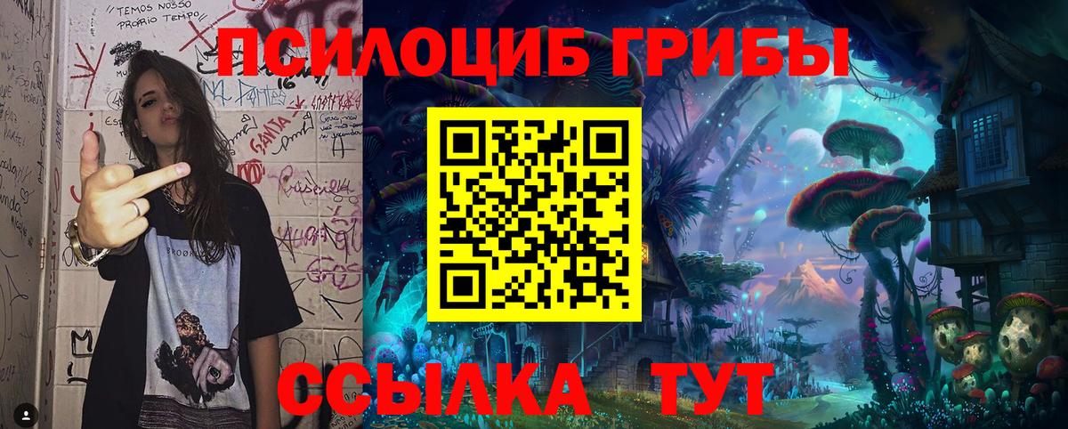 Галлюциногенные грибы мицелий Верхняя Пышма